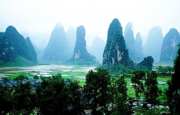 发现科学小癖好,尽在酥黄菜的做法最正宗的做法