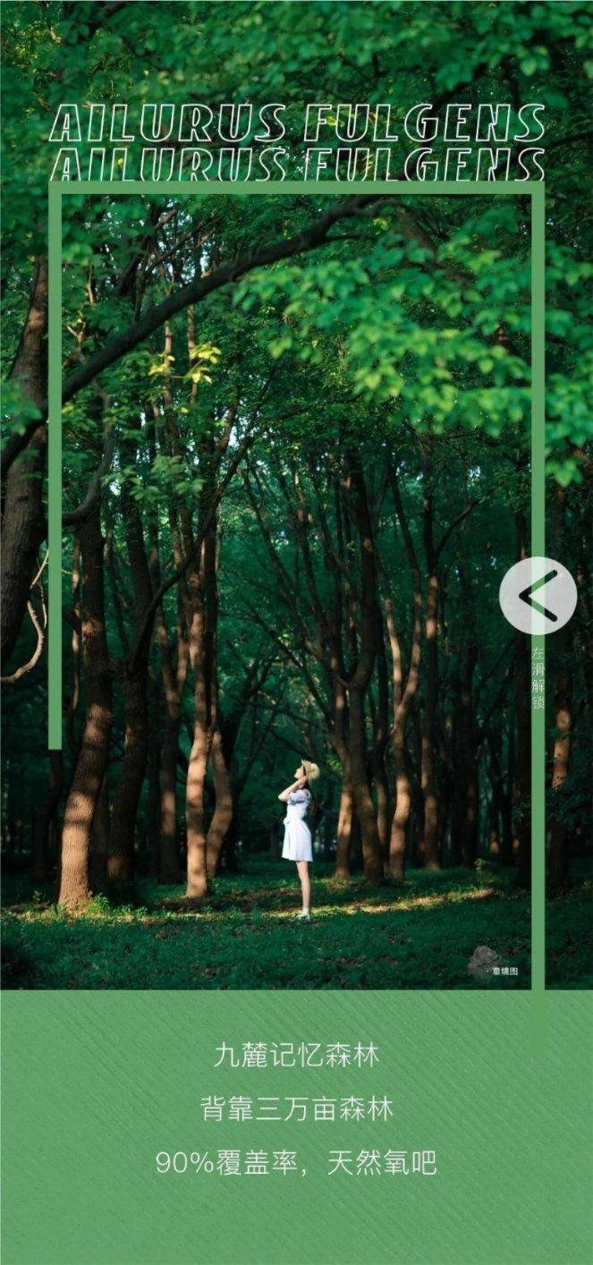 燃烧吧大脑免广告最新版
